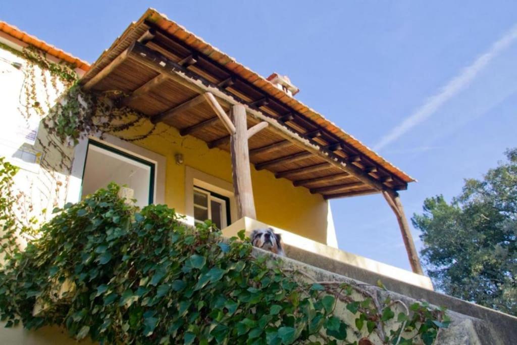 Villa Casa Da Ruiva à Serra Extérieur photo
