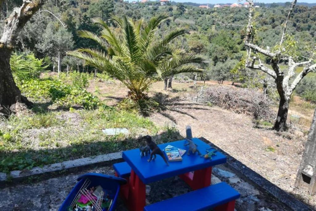 Villa Casa Da Ruiva à Serra Extérieur photo