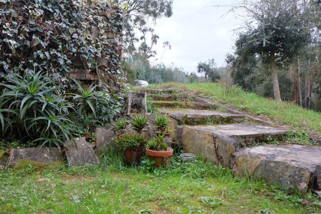 Villa Casa Da Ruiva à Serra Extérieur photo